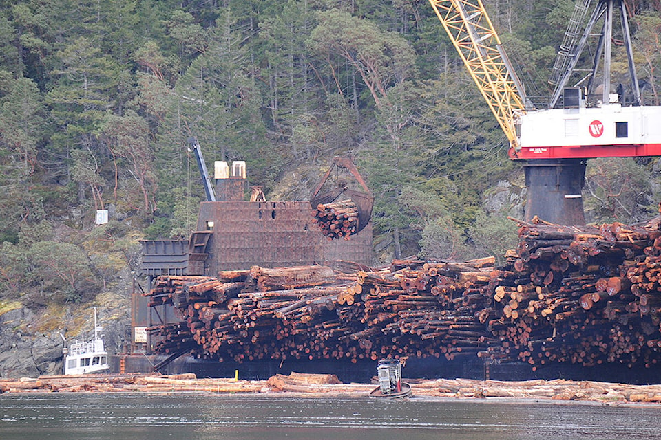 31921635_web1_Logging-ship-file-teaser-16mar19_8104