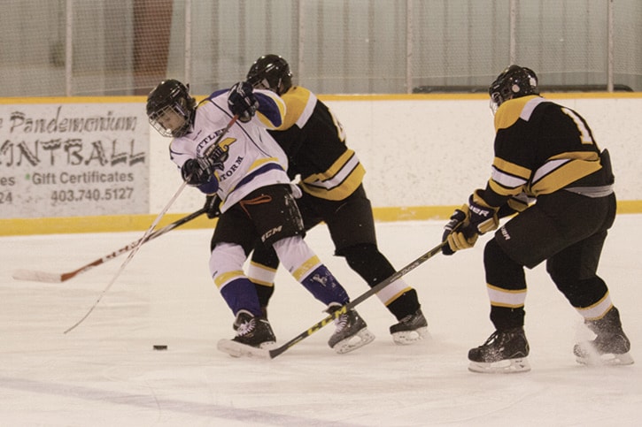 52587stettler151125_MSJ_Stettler-Midget-B_02