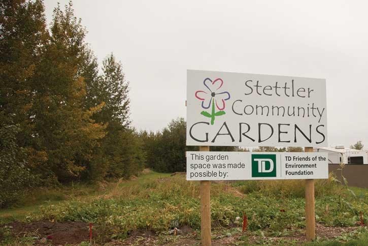 79290stettler151021-MSJ-Ag-Community-Gardens