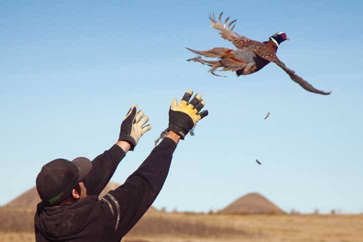 86211stettler151021-MSJ-Pheasant-Festival_03