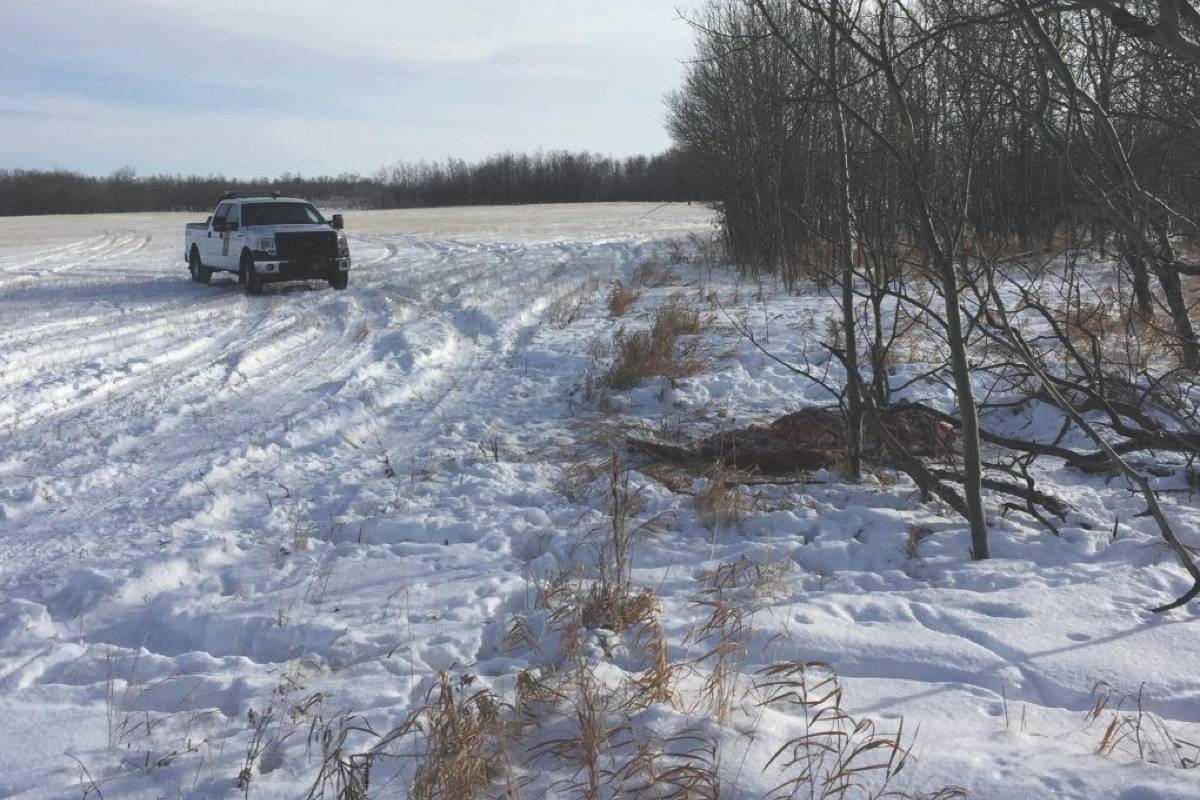 Alberta Fish and Wildlife Officers ask for the public’s help with