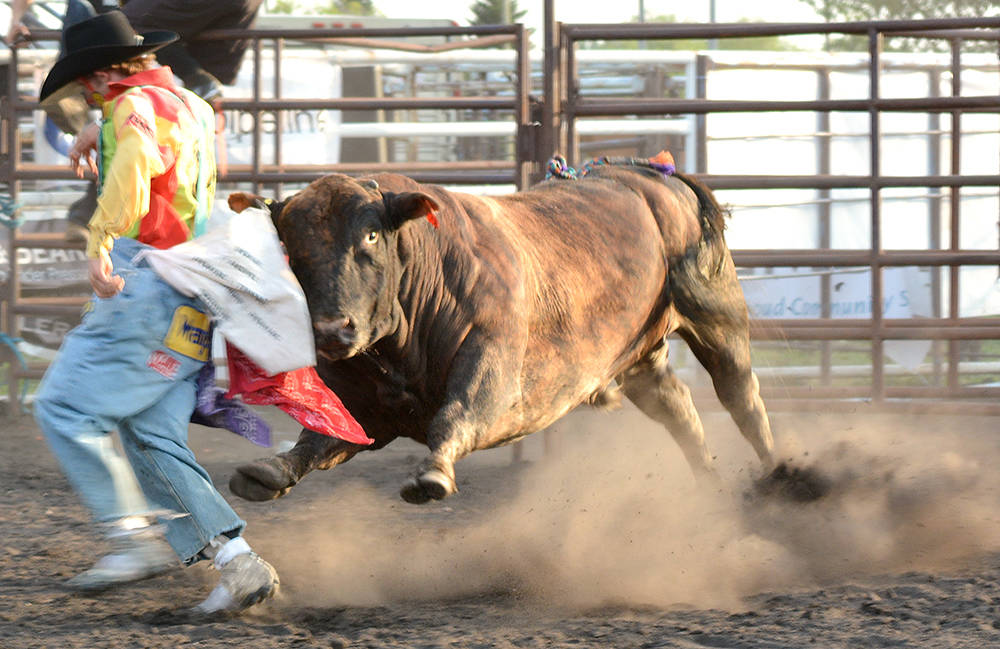 12239005_web1_lj-Bull-fighting-3525-WEB