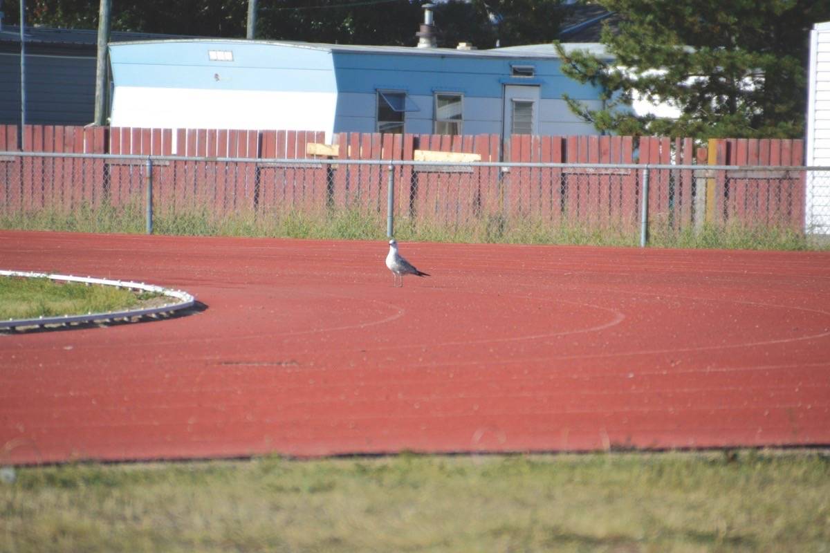 Nearest running track near me deals