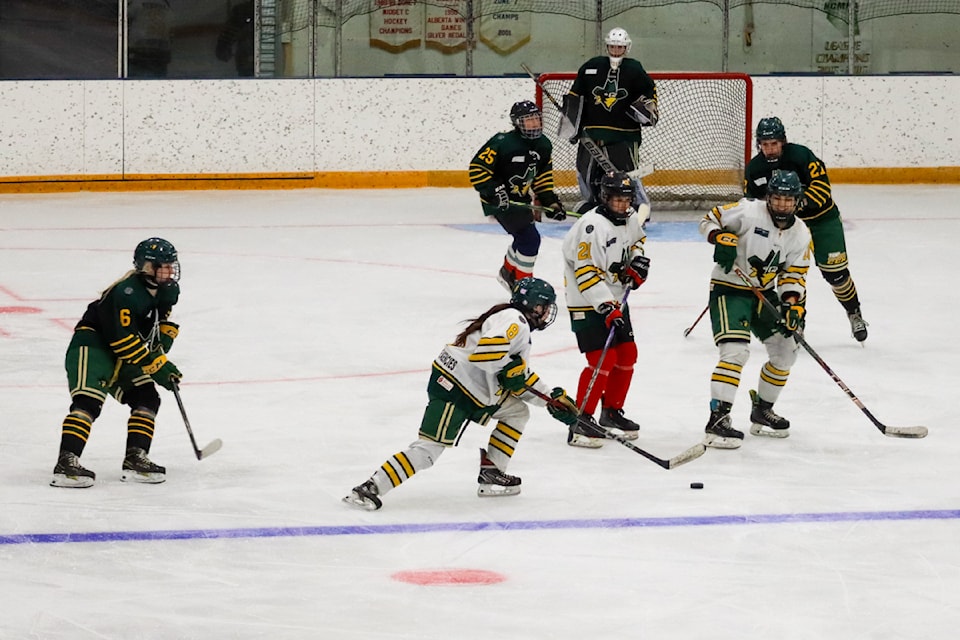 3C's Minor Hockey hosted a girls hockey weekend in Castor and Coronation over the weekend of Sept. 27-28.