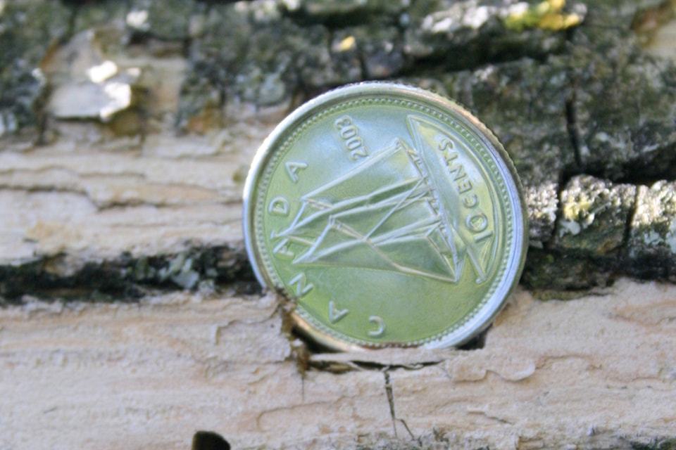 Although it is small, the emerald ash borer is able to cause damage when it leave exit holes in ash trees. (Photo courtesy of Troy Kimoto)