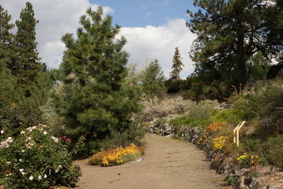 250605-sum-xeriscape-gardens