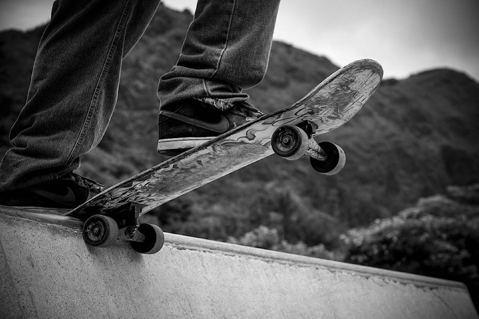 web1_Skateboard3