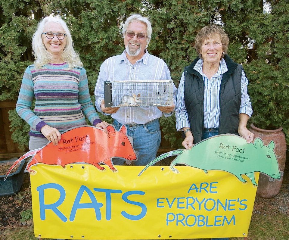 web1_170413-SUM-story-rats_1
