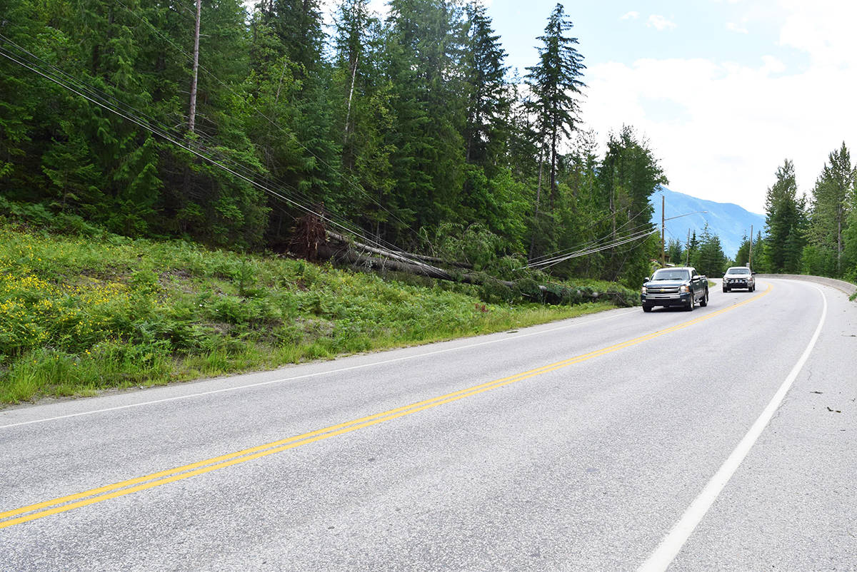 12562023_web1_180705-NAL-trees-powerline