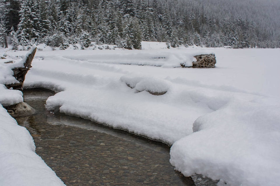 The daily mean temperature in Revelstoke for Feb was -7.5 degrees. (Liam Harrap/Revelstoke Review)