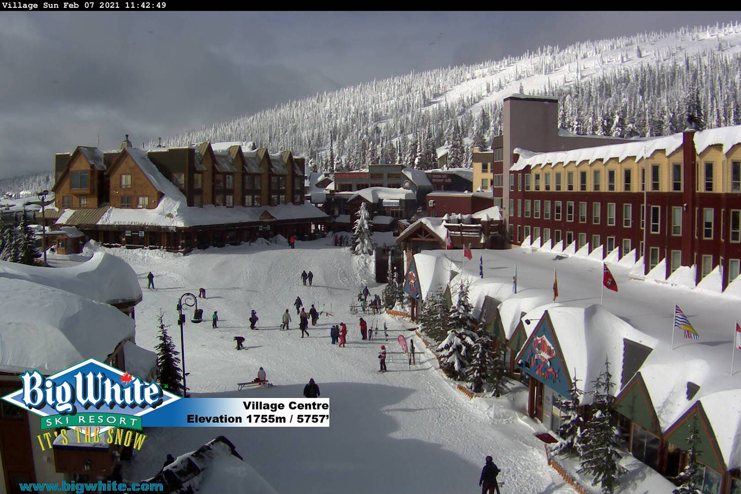 Big white deals