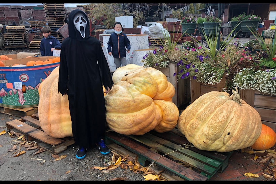 This Scream ghost was spotted at the Apple Barn in Summerland. (Monique Tamminga Western News)
