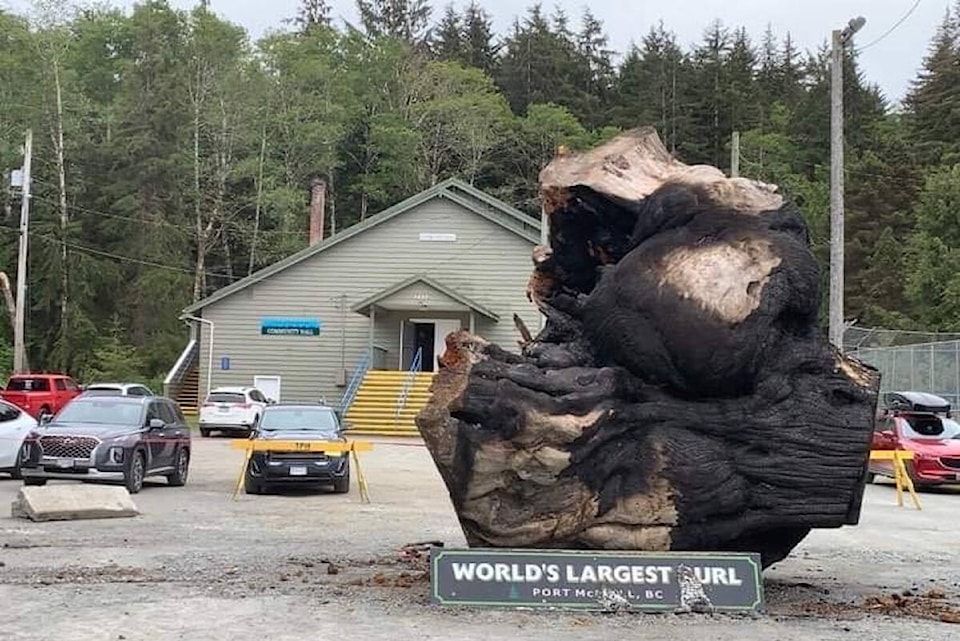 33496303_web1_230628-NIG-Koels-notes-burl-update-council_2
