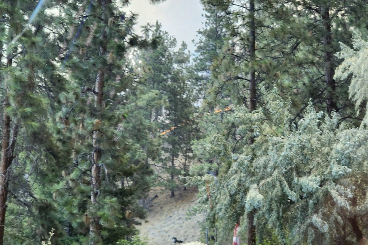 A fire has been spotted Friday morning (Aug. 18) in the Sage Glen area of Lake Country. (Bill Bob/Facebook)