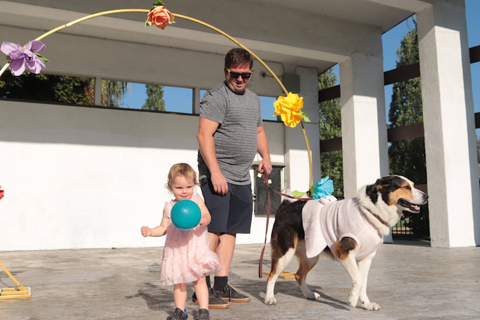 One-year-old Olive Mattioli walks the runway with her dog Mia, dressed in a luxurious top, at the dog fashion show hosted by Polson Artisan Market in Polson Park Friday, Sept. 1, 2023. (Brendan Shykora - Morning Star)