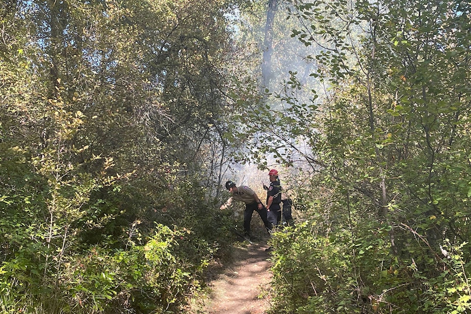 33833418_web1_230907-PWN-Grassfire_1