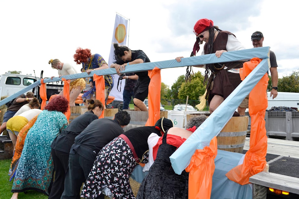 The grape stomp gets underway at the 24th annual Festival of the Grape in Oliver on Sept. 24, 2023. (Monique Tamminga Western News)