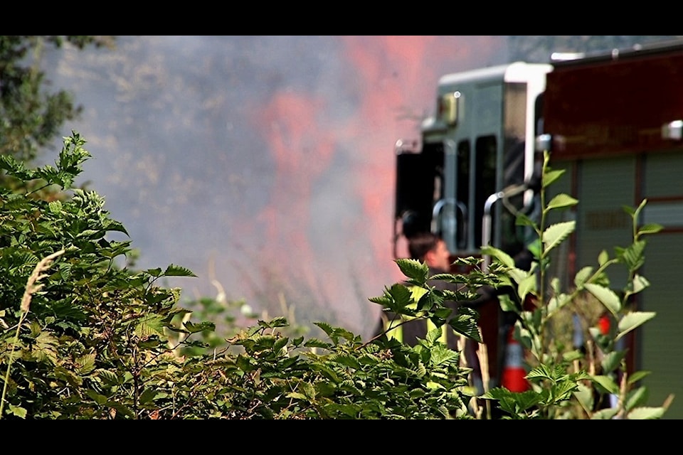 Surrey firefighters were called to a brush fire at Green Timbers Park on Friday, July 26, 2024. The blaze was quickly extinguished.
