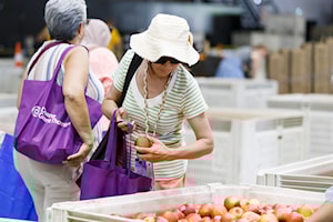 Over 430,000lbs of produce distributed at Surrey's Ugly Potato Day