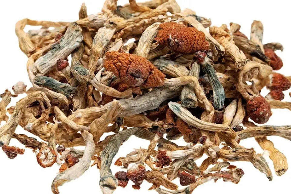 psilocybin-magic-mushroomswebsite-size-2025-06-17t152045888