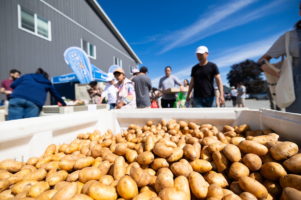 The last Ugly Potato Day hosted at the Heppell potato farm in Surrey on Saturday, June 8. The event moves to the Cloverdale Rodeo Fairgrounds this Saturday (Aug. 3) from 10 a.m. to 2 p.m.