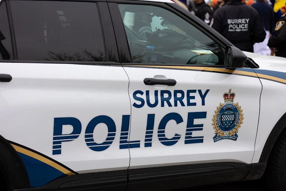 2-surrey-police