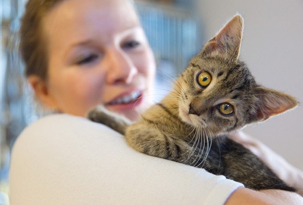 Potential cat adopter Eileen Reid of Burnaby holds "Nermal."