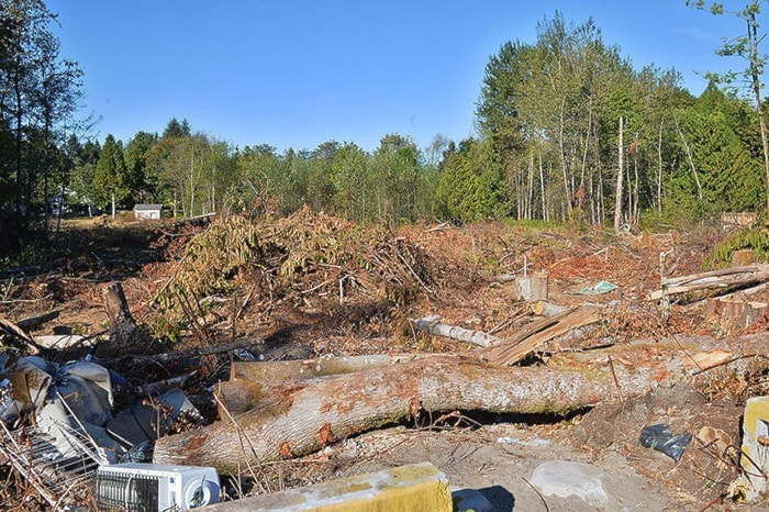 Clearcut property with a stop-work order at 5904 144 St.