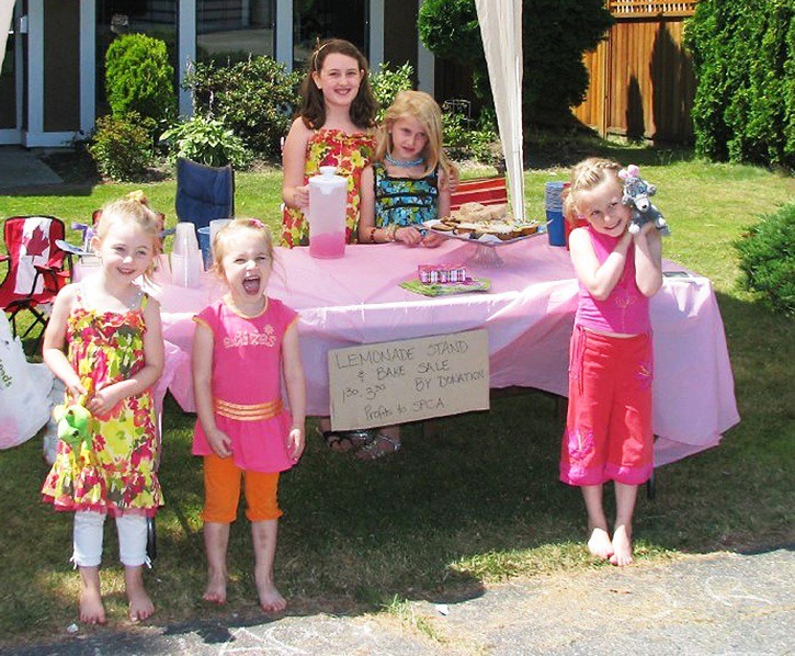 24880surrey-lemonadestand