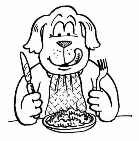 Jamiesons pet deals food distributors