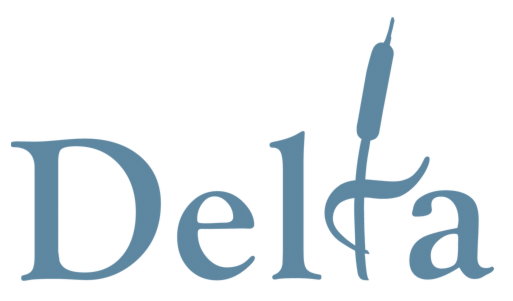 5378delta-logo