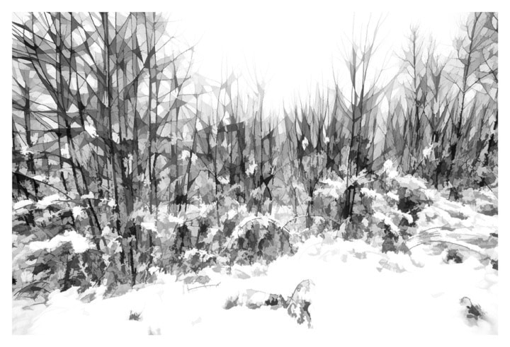5378web-last-snow-of-winter-derek-hayes