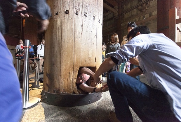 598620412-30-13715-nara-todai-ji-daibutsuden-wrj-go-through-nostril-02x03-300