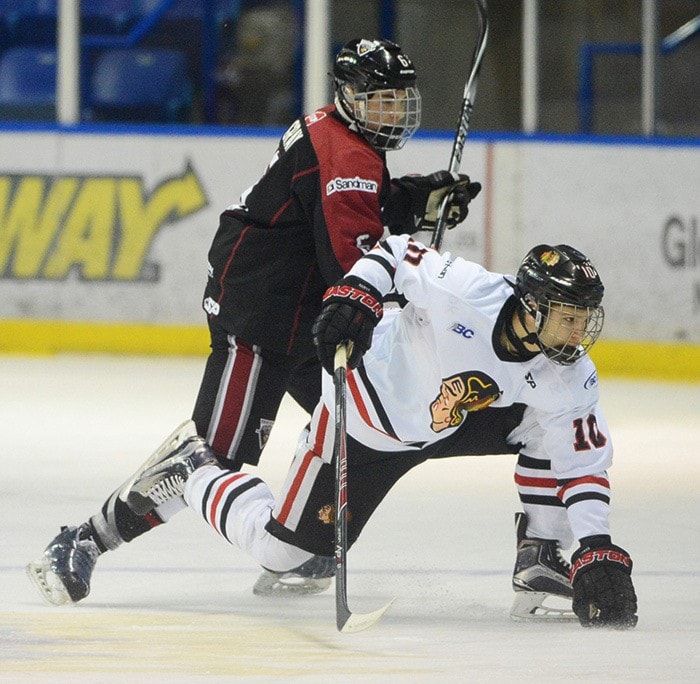 73470surreywHockeyVWHawks1-BJ-Jan17