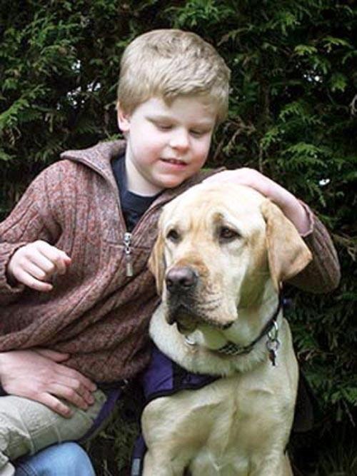 82764surreymax_and_forest_title