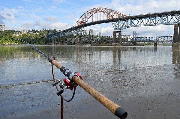 SUMMER IN SURREY: Where to cast a fishing line in Surrey - Surrey Now-Leader