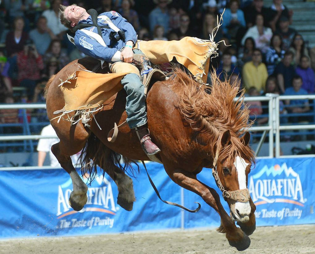 SURREY’S CLOVERDALE RODEO Surrey NowLeader