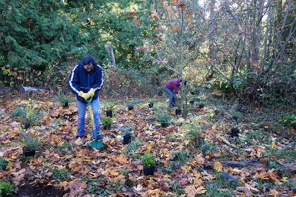 9236897_web1_greenteam1-copy