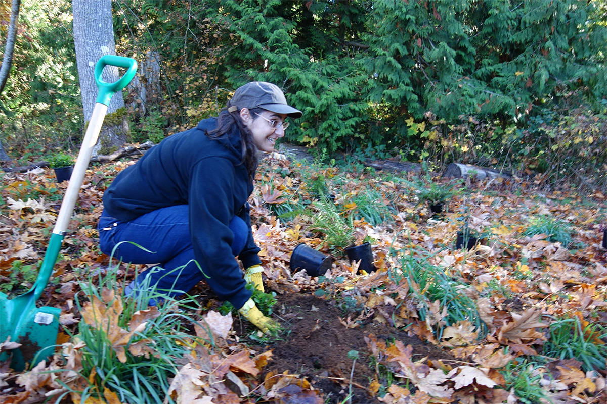 9236897_web1_greenteam4-copy