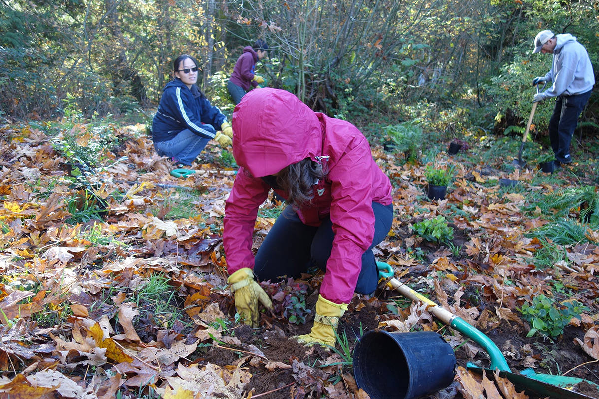 9236897_web1_greenteam6-copy