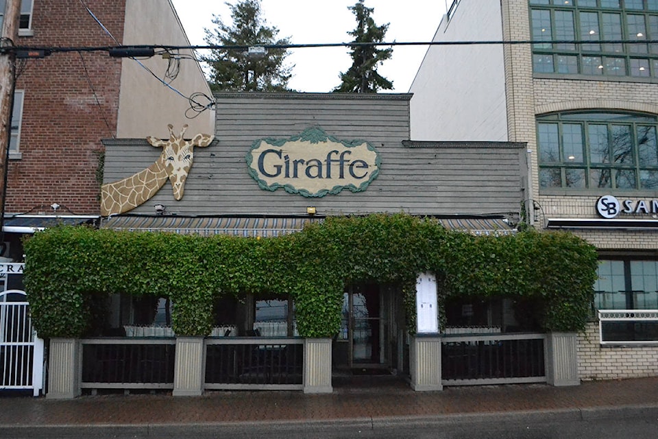 9602390_web1_giraffe3