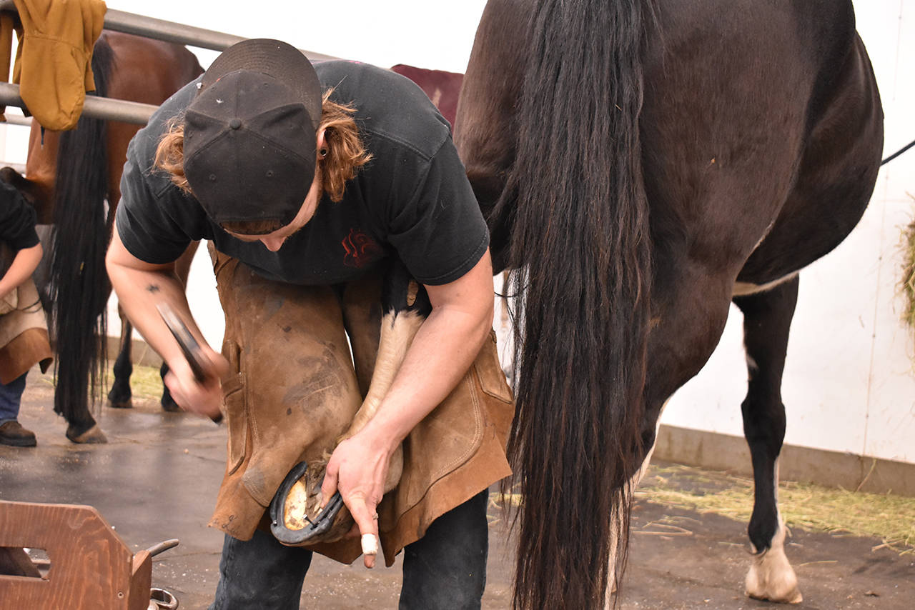 10049102_web1_180110-CLR-FarrierSchoolDay_7