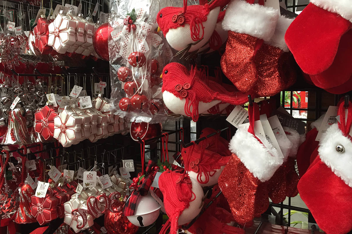 Potter’s Nursery opens annual Christmas store in Cloverdale Surrey NowLeader