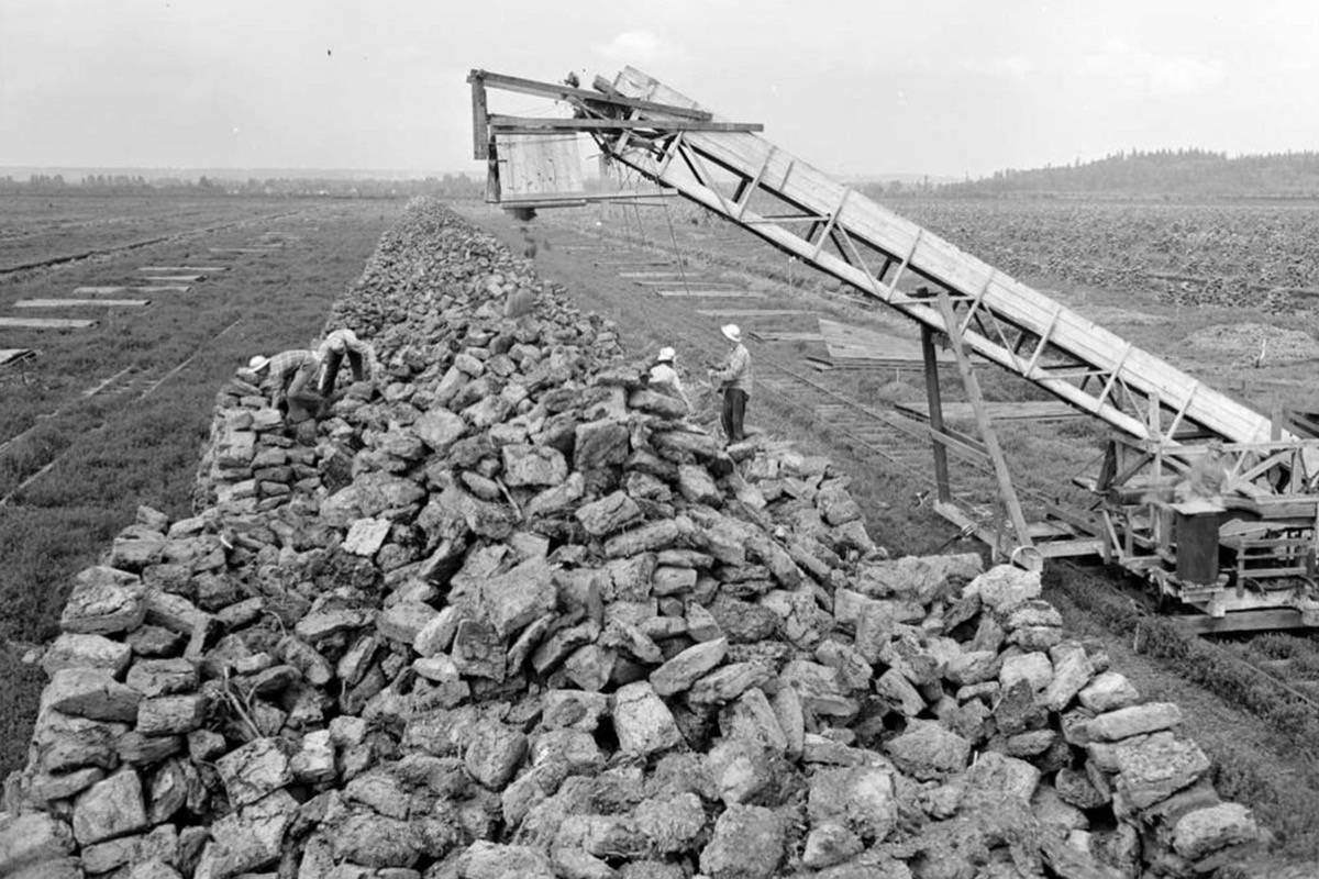 15127837_web1_190117-NDR-M-Peat-mining-in-Burns-Bog-1947-2