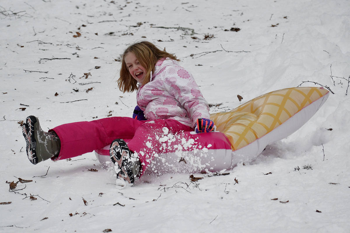 15504776_web1_sled1