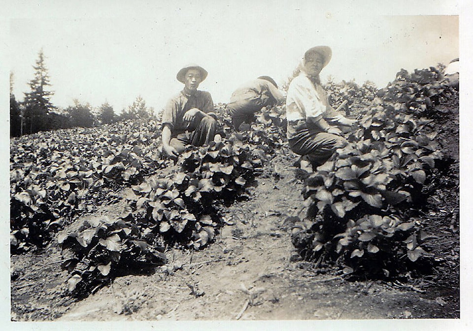17471533_web1_Cindy-Mochizuki-s-grandmother-s-berry-farm-in-Langley-1941.-Photo-courtesy-of-artist.