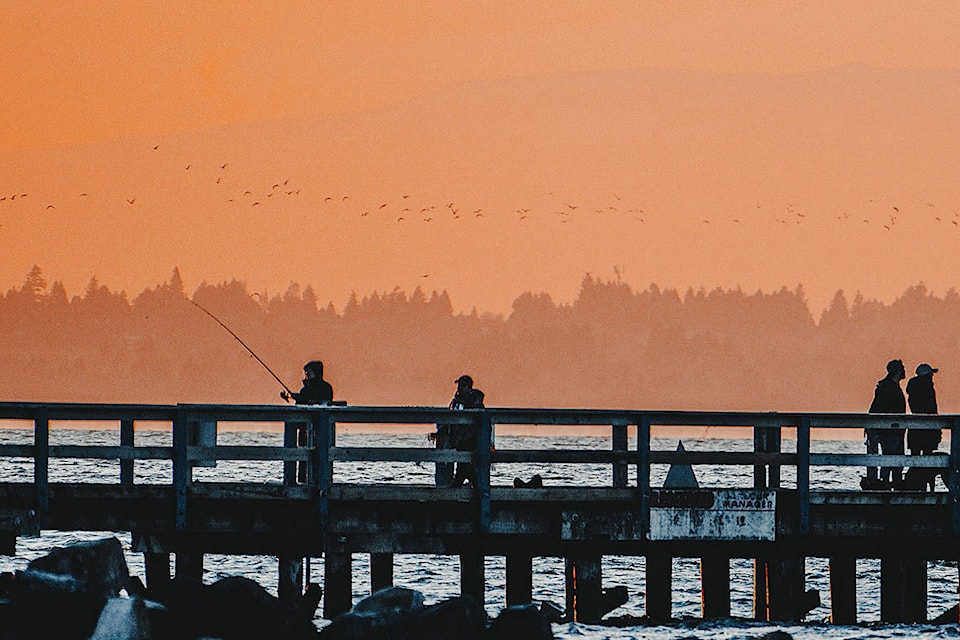 Surrey’s Crescent Beach is a popular recreation area, and its rich waters and fertile tidal marshes make it ideal bird habitat. (Black Press Media file photo)