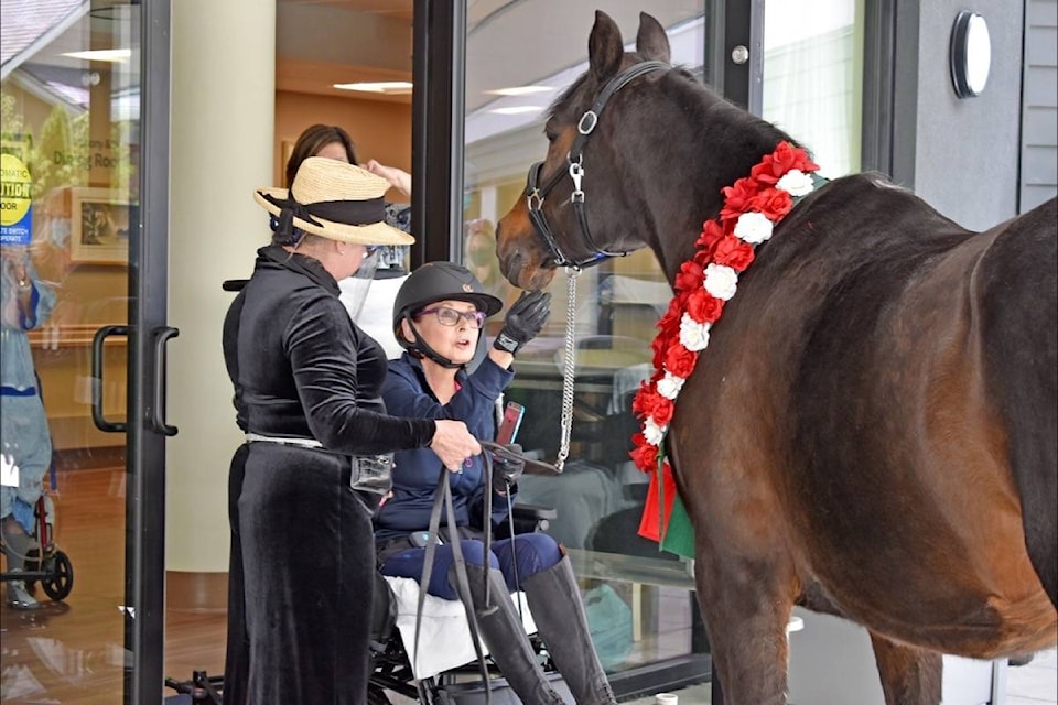 Violet, a 19-year-old Arabian mare, paid a visit to Mary Ann King Friday afternoon, after King’s care team at the Melville Hospice Home in South Surrey discovered King’s lifelong passion for horses. (Tracy Holmes photo)