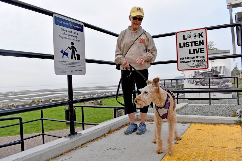 Fourteen-year-old Pepper, an Irish terrier, waits patiently Thursday (Oct. 1) with owner Kathy McAuliffe for a friend to walk White Rock’s promenade with. The pair are standing next to just-posted city signage reminding owners to ‘stoop and scoop’ as necessary, and that their pets must be leashed while visiting. (Tracy Holmes photo)
