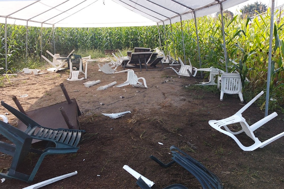 The Bose and Sons Family Farm Corn Maze was vandalized. (Bose and Sons Family Farm Facebook image)